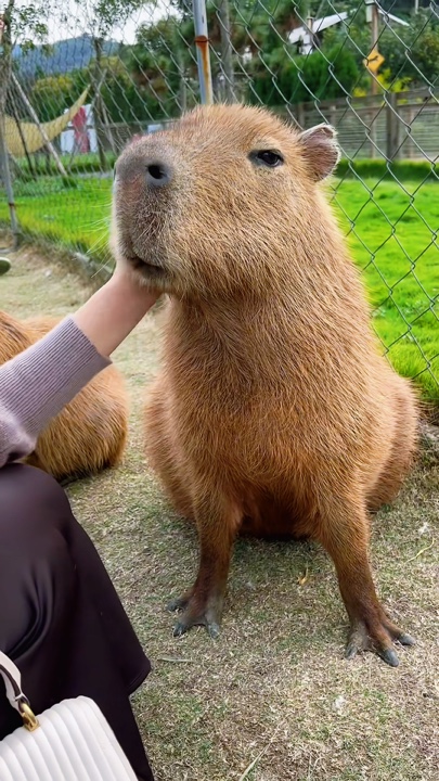 Zoo