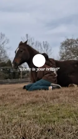 might ride her tdyyy