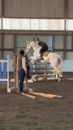 Equitation testing