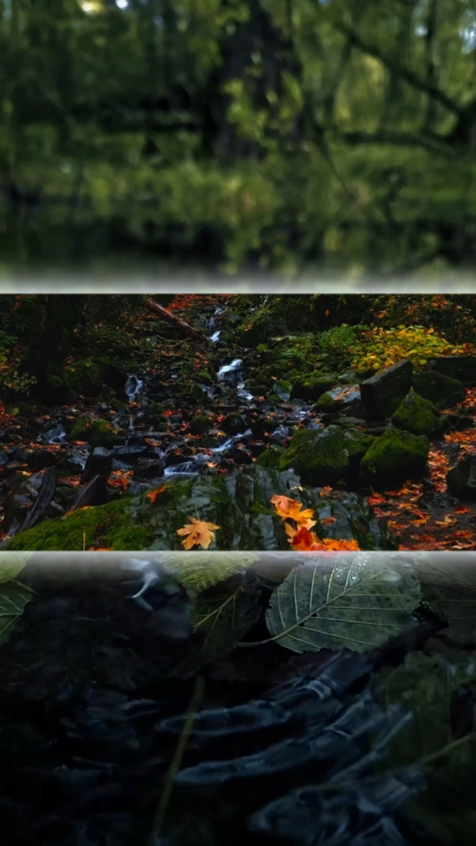 7 video veya fotoğraf 