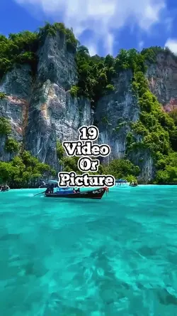 19 video new templat