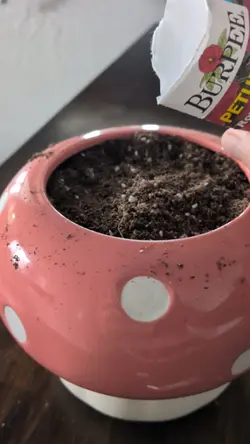 gardening 