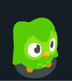 Duolingo edit