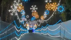 Holiday lights 