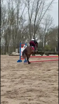 My horse threw me 