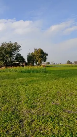 village