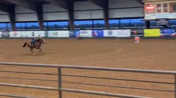 Trump! New guy not m