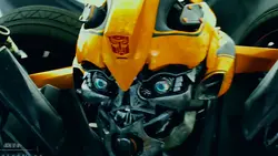 Bumblebee edit