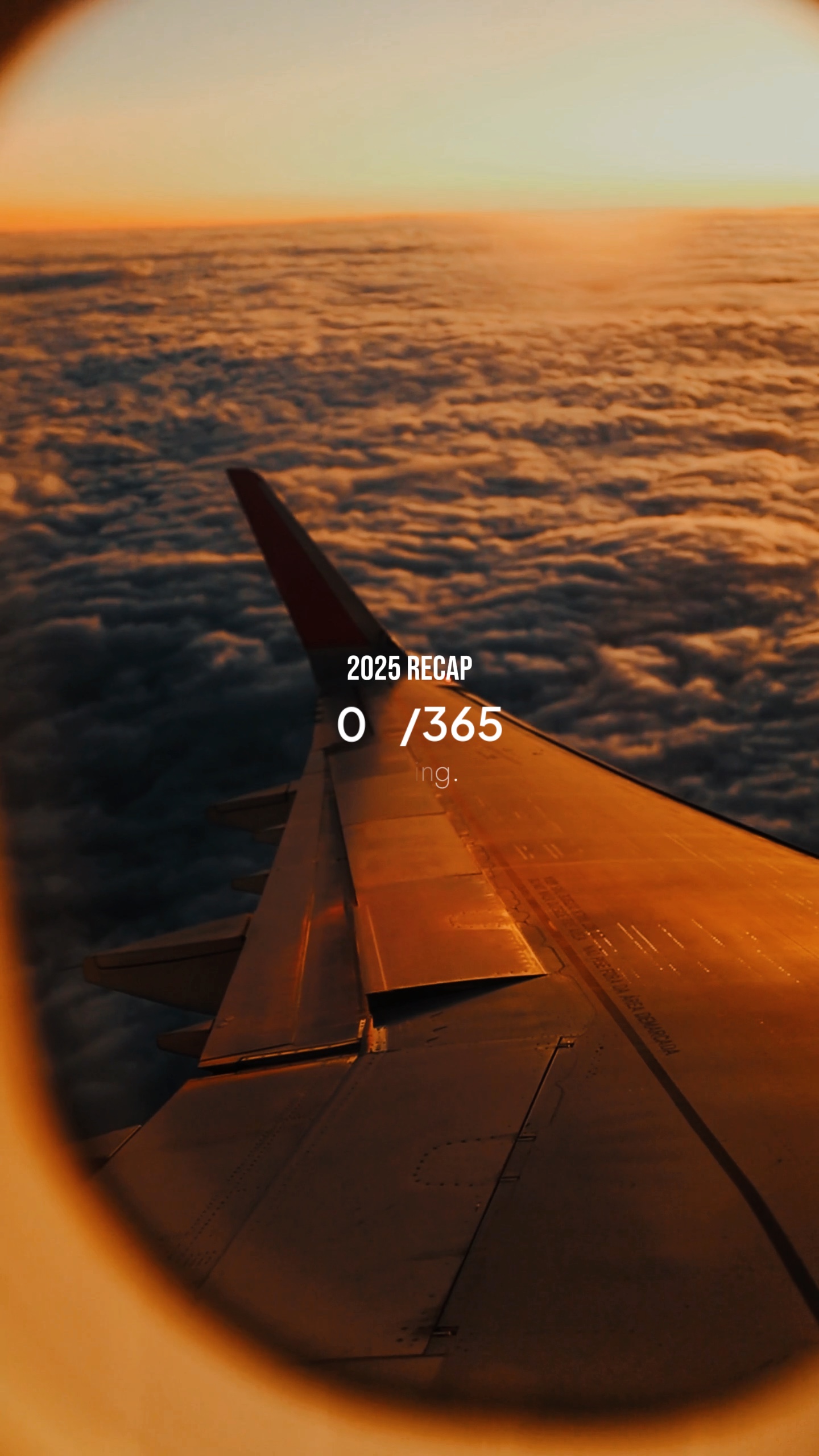 365/365 year recap