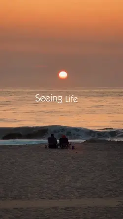 Seeing life cinemati