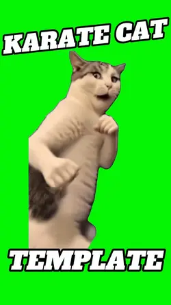 Karate Cat 