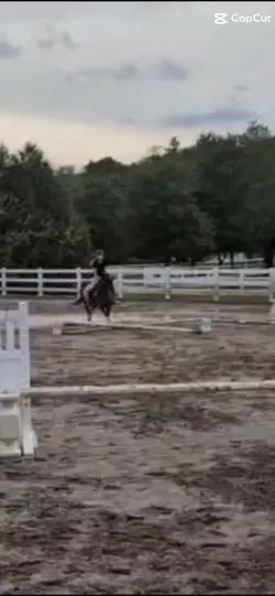 heart horse