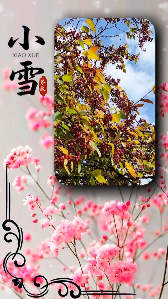 Xiaoxue