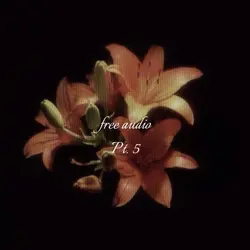 Audio