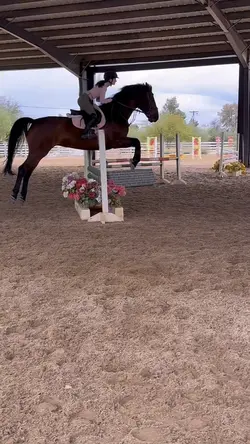 Xmas horse edit🎄☃️AI‼️