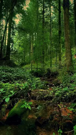 Nature vibes 