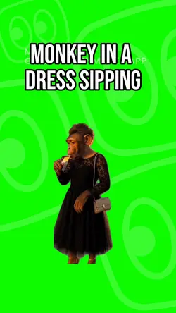 Monkey in a dress