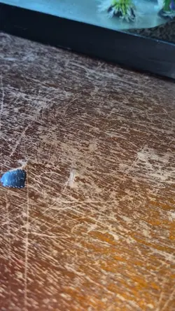 3d pen was dramatic!