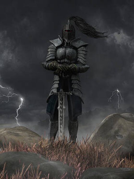 knights
