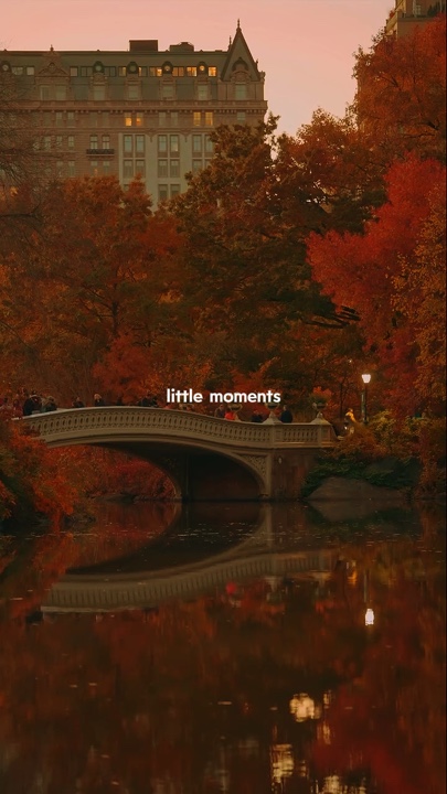 Little moments 
