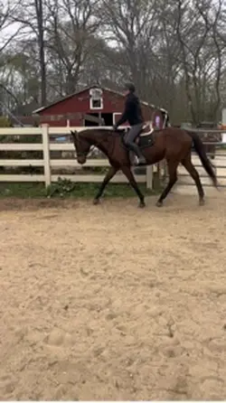 Slowed trot