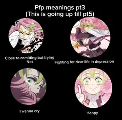Pfp meanings pt3