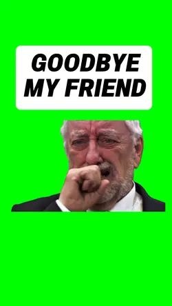 GOODBYE MY FRIEND