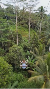 Agosto na selva