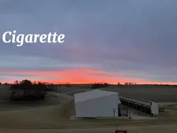 Cigarettes daydream 