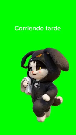 Gatito corriend