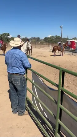 Barrel horse??