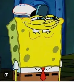 sponge