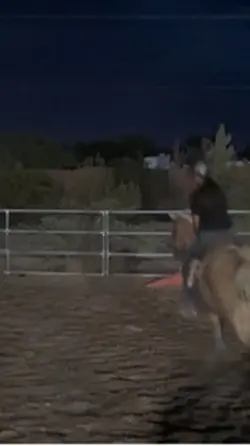 my favorite horse!