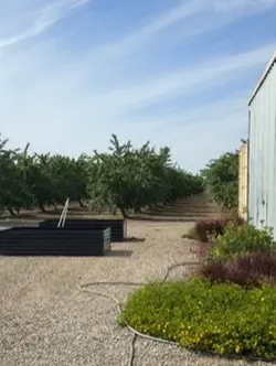 Gardening 2026 