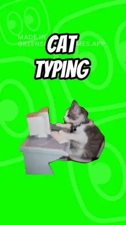 Cat typing 