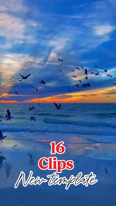 16 clipes novo modelo