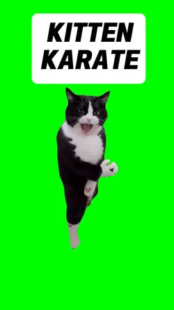 KITTEN KARAT