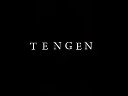 Tengen edit