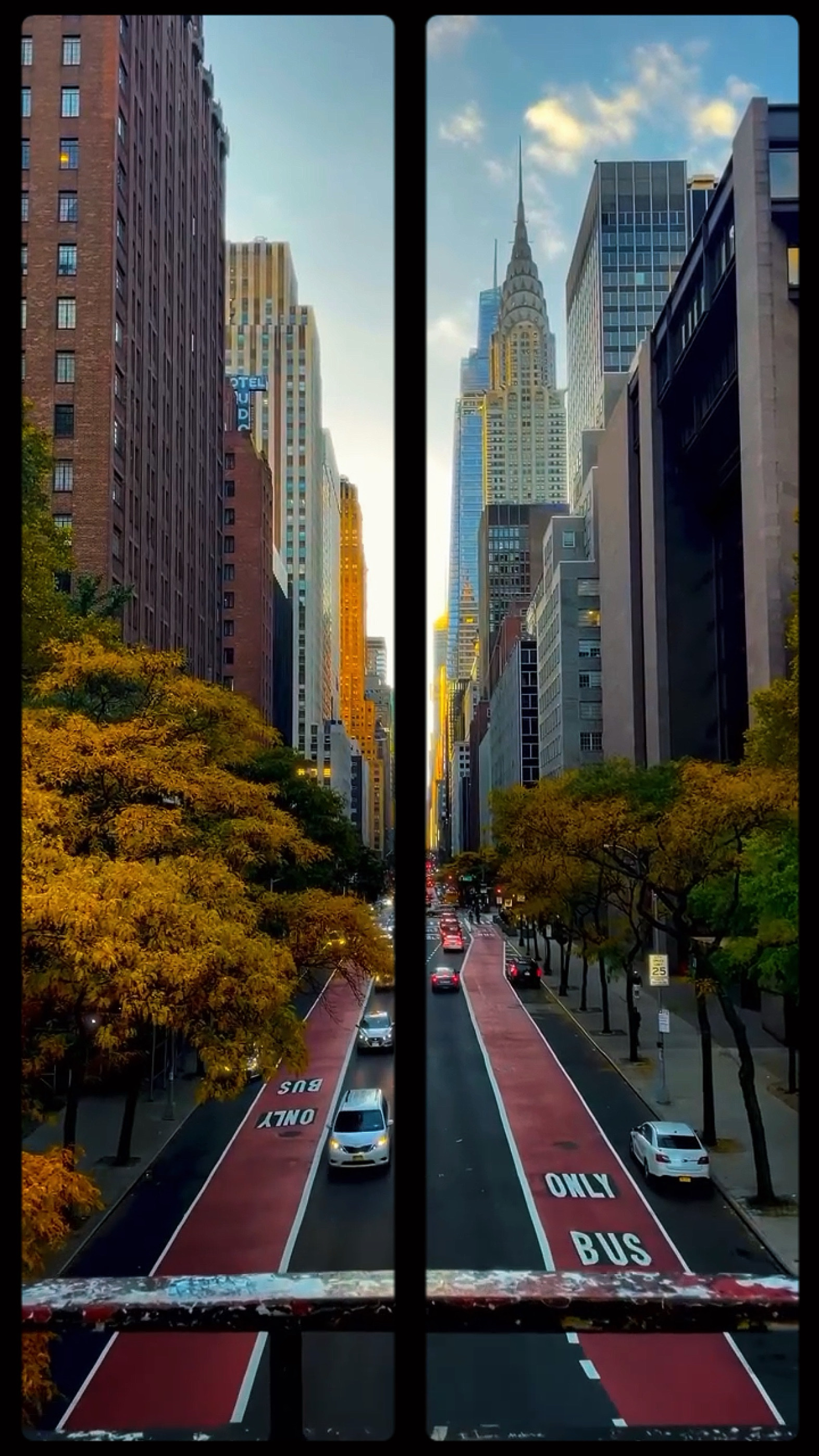 5 video or photo m