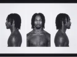 stephon castle
