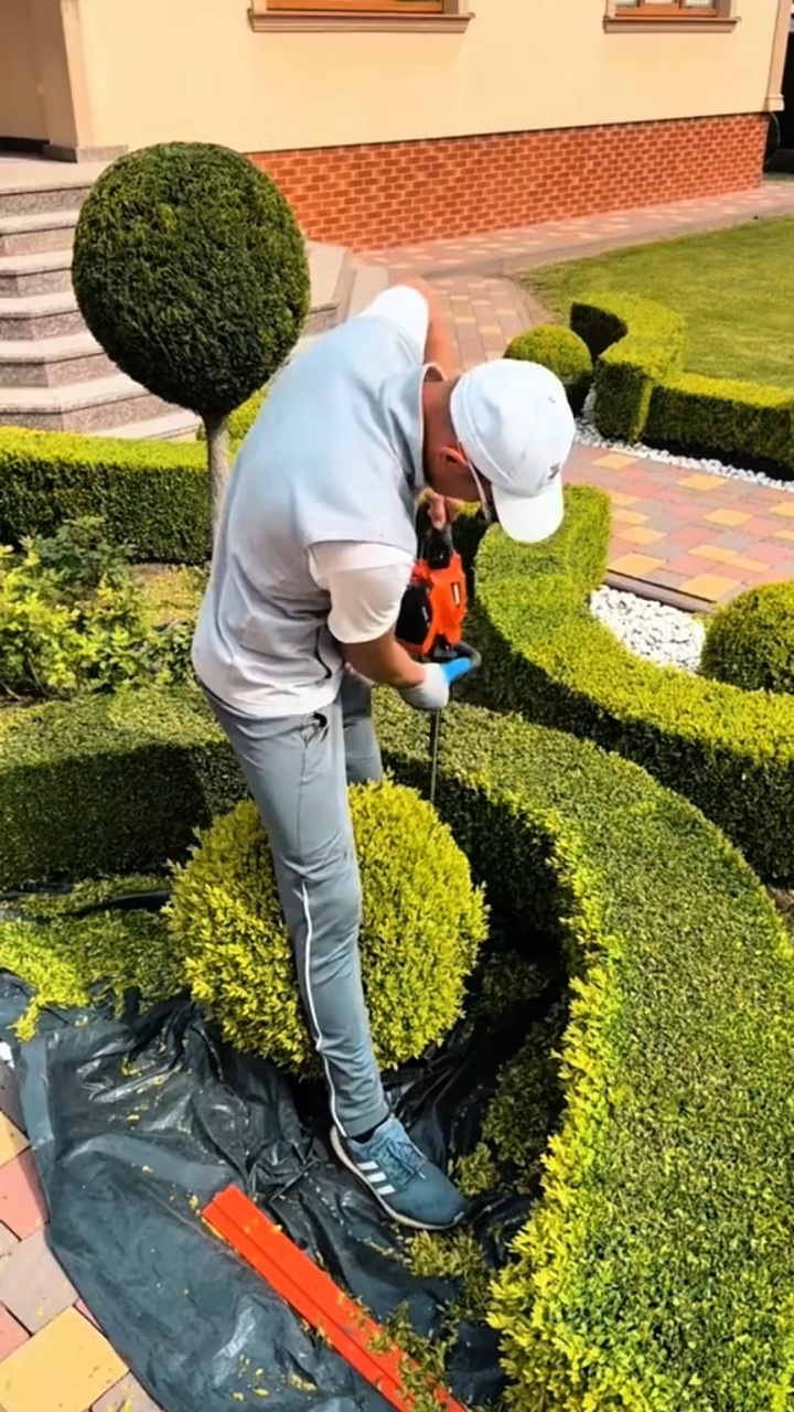 Berkebun