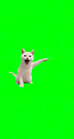 Kitty SCREAM
