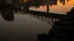 10/10