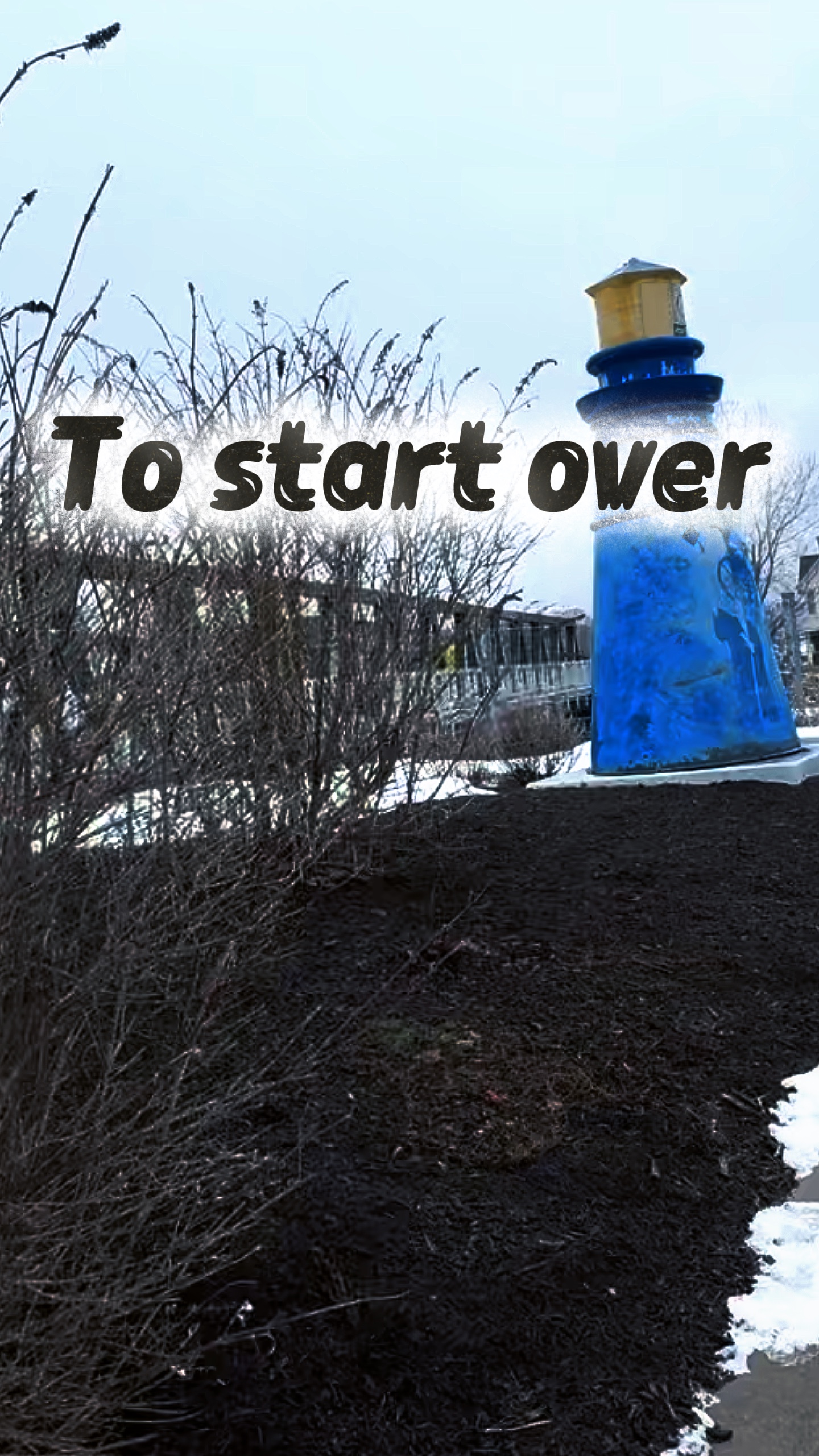 Cover Picture