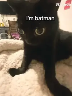 I'm Batman
