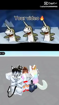 Narwals 