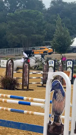 reynaaa ‼️⚠️FAKE⚠️‼️