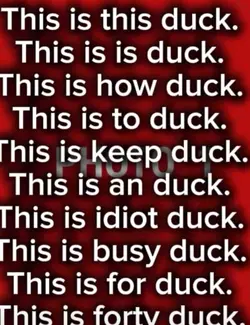 Memes