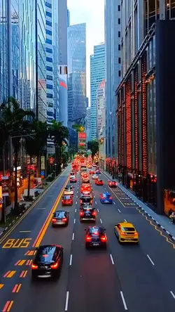 New trend