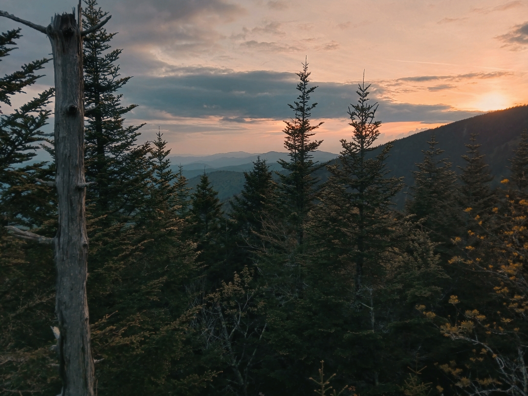 Escena de montaña